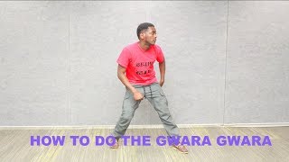 How to dance the Gwara Gwara Tutorial [upl. by Anatnahs36]