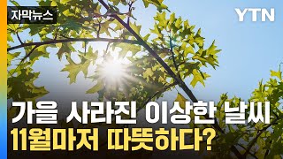 자막뉴스 9월 여름 10월도 여름11월도 따뜻한 날씨 이어지나  YTN [upl. by Lucey146]