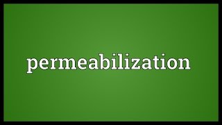 Permeabilization Meaning [upl. by Rahs]