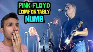 Pink Floyd  Comfortably Numb REACTION WRITER REACTS FOR THE FIRST TIME [upl. by Breech69]