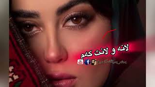 لانەو لانت کەم  صلاح پشدەری lanaw lant kam  salah pshdary [upl. by Annawat]