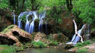 Les cascades du Refuge Zaouia Abdesslame ifrane أشهر منتجع سياحي لعشاق السكينة والطبيعة [upl. by Lerud]