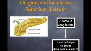 Pancréatite aiguë  5 Diagnostic étiologique [upl. by Otrebogir]