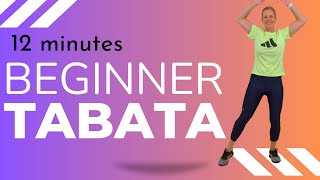 12 Min TABATA CARDIO HIIT WORKOUT  No Equipment No Jumping No Floor Work [upl. by Limoli]