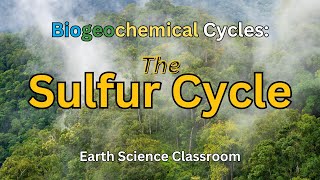 Detailing The Sulfur Cycle [upl. by Edia]