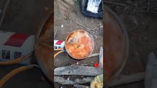 hot plate shorts fish cooking [upl. by Latrena]