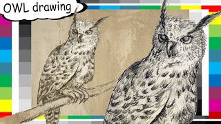 OWL  real time quick sketch amp drawing  SOVA brza skica i crtež Likovni123 [upl. by Idelson578]