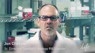 Directed Evolution  rational protein improvement with Life Technologies [upl. by Mure105]