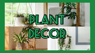 Plant Decor Indoor  Home Decoration [upl. by Trovillion]