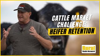 THIS is why the US Heifer Retention Remains Low  Insights from Feedlot Owner [upl. by Ettelracs]