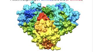 SARSCoV2 Main Protease [upl. by Landy]