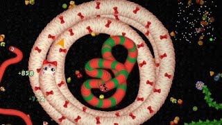 Lets Games Giant Kitty Slither Snake  Worms Zone Slither Snake Gameplay [upl. by Yorel334]