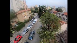 Arborist trimming celtis australis captured with drone [upl. by Barra]