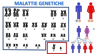 LE MALATTIE GENETICHE MENDELIANE [upl. by Kolivas693]