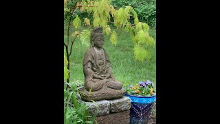 All about the Bodhisattva Vow Part 4 of 6 Bodhisattva Vow Review [upl. by Nymrak]