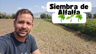 Siembra de Alfalfa 😁☘️☘️ [upl. by Solana514]