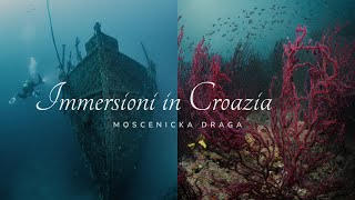 IMMERSIONI IN CROAZIA  MOSCENICKA DRAGA  Relitto vs Gorgonie [upl. by Budd]