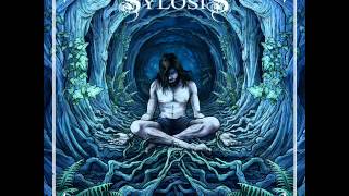 Sylosis  Empyreal Part 2 [upl. by Ocirnor]