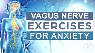 Vagus Nerve Exercises For Anxiety  Rewire Your Brain  Vagus Nerve Massage  Grounding Tools [upl. by Ititrefen]