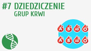 Dziedziczenie grup krwi 7  Genetyka [upl. by Bain]