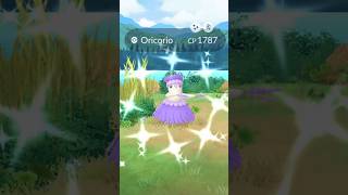 Finally I Got This✨Shiny Bird🦅 in pokemongo [upl. by Inobe723]