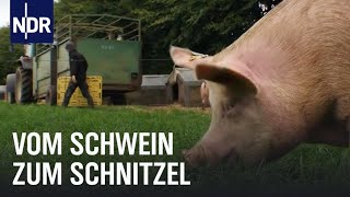 Schweinefleisch Vom Ferkel zum Bioschnitzel  Wie geht das  NDR [upl. by Dnalerb236]