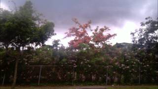 Los Canelos de Durango  Seras Mia EN VIVO tololoche [upl. by Eralcyram926]