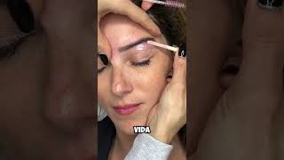 TRANSFORMA el rostro de tu clienta con RESTRUCTURACION en CEJAS [upl. by Eetsirhc]