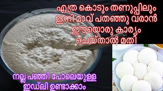 ഇനി ഏതു കാലാവസ്ഥയിലും മാവ് പതഞ്ഞുപൊങ്ങാൻ ഈയൊരു സൂത്രം ചെയ്തു നോക്കൂ  Soft idle recipe [upl. by Havener]