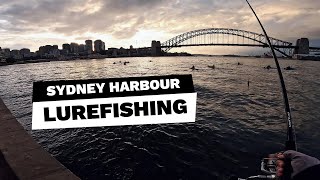 Lurefishing in Sydney Harbour on winter [upl. by Irtimed]