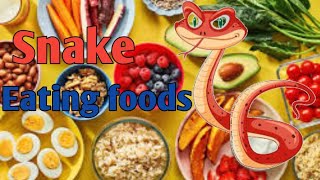 snake io game eating  games  snake games  worm zone  fun game  gaming scope 360 [upl. by Ijuy]