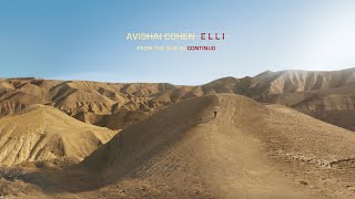 Avishai Cohen  Elli from the album Continuo [upl. by Ees]