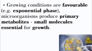 Biotechnology  ALevel A2 Biology Revision [upl. by Danyelle631]