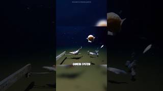 The Deepest Fish Ever Recorded in The Ocean 🤯 [upl. by Ayeki]