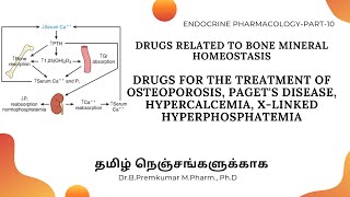 Drugs acting on Bone Mineral HomeostasisDrugs for OsteoporosisEndoPart10  Tamil [upl. by Ademordna694]