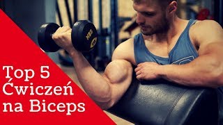 NAJLEPSZE Ćwiczenia na Biceps  TOP5 zalicz SYTE GAINSY [upl. by Aer]