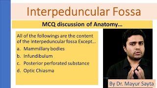 Interpeduncular fossa Anatomy [upl. by Thetos]