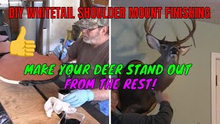 DIY Whitetail Taxidermy Enhanced Finishing Touches [upl. by Learrsi]