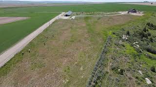 Acreage for Sale on N 6000 East Moody Area Sugar City Idaho [upl. by Vitus]