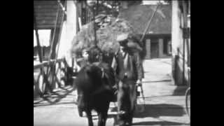 boerderijleven parrega 1953avi [upl. by Fortier]