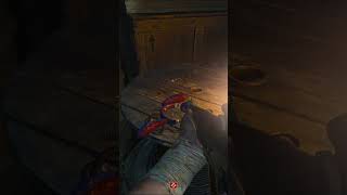 SECRET EE SONG ON TERMINUS CALL OF DUTY BLACK OPS 6 ZOMBIES [upl. by Eehtomit]