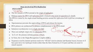 DNA Replication II Steps InitiationElongationTerminationII NEET II 12 shortsyoutubeshorts [upl. by Ronel]