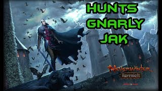 Neverwinter  Hunts  Gnarly Jak  Ravenloft  MOD 14  PC PS4 XBOX [upl. by Handbook]