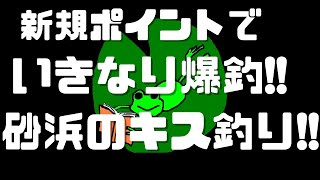 茨城県 鹿島灘 サーフ キス釣り【ひげかへる】 [upl. by Ogir]