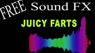 Free Sound Effects  10 Minutes of JUICY FARTS with AUDIO LEVELS  HD [upl. by Nert]