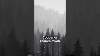 What happened to DB Cooper [upl. by Yesiad]