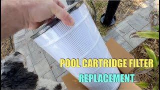 CARTRIDGE FILTER REPLACEMENT UNICEL 9699 JACUZZI CFR 100 FC 1490 C9669 AQUA EZ pool [upl. by Aroda]