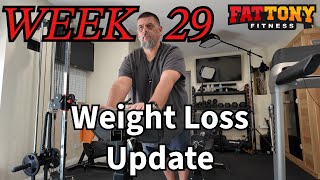 Weight Loss Update  Week 29 weightloss diet weightlossjourney [upl. by Chon292]