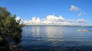 Lemon Bayshore Trail Lemon Bay Park Englewood Florida 4K [upl. by Enerehs]