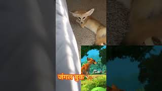 जंगल बुक 🐅junglebookcartoon tabakimogali viralvideo sherkhanjungkook realcartoonmagli [upl. by Blight]